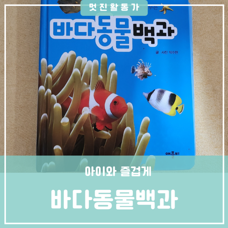 아이가 좋아하는 책 추천 애플비 바다동물백과 미니 장난감 피규어가 들어있어요. 아이가 좋아하는 책 추천 애플비 바다동물백과 미니 장난감 피규어가 들어있어요.