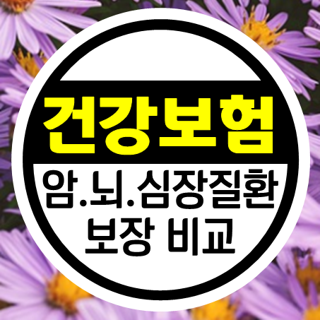  100세건강보험 추천 비갱신형 암뇌심장보험 비용과 보상을 바로 확인해 보세요.