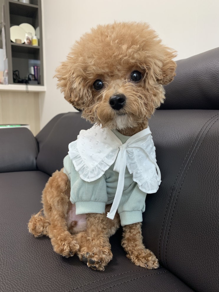  모델 포즈 촬칵쓰~