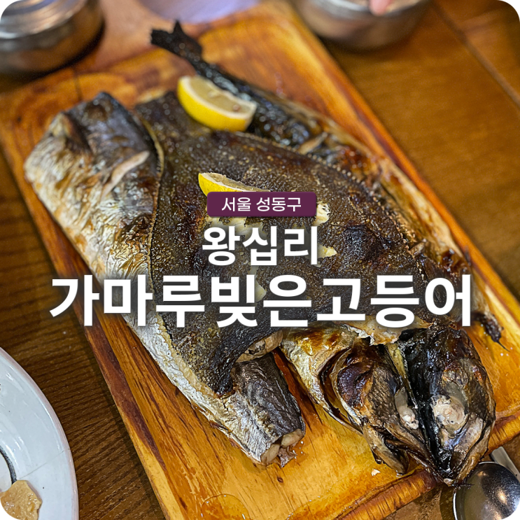  왕십리 엔터식스 가마루빚은고등어 모듬 생선구이와 고등어조림 맛집