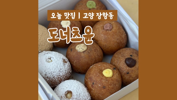 일산디저트 도너츠윤 일산점 귀여운 찹쌀도너츠 선물하기 딱 일산디저트 도너츠윤 일산점 귀여운 찹쌀도너츠 선물하기 딱