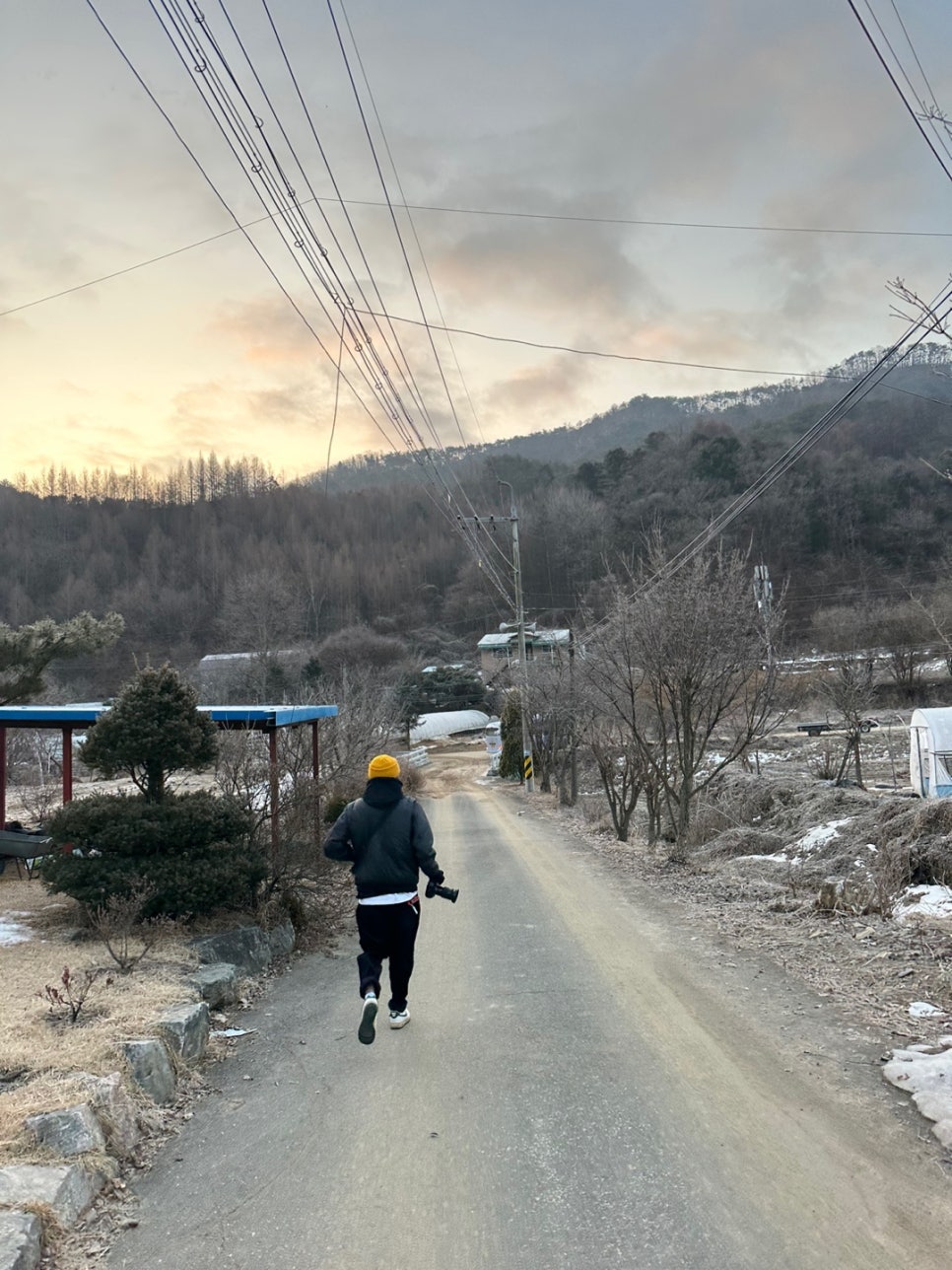 예부룩 사진 2