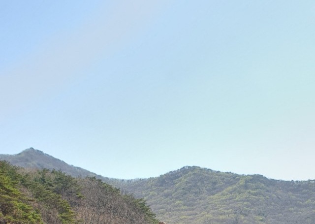  논객 공익을 위하는 자인가 자기의 뱃가죽과 권력의 시녀로 콩고물 바라는 자인가 수전노 꿀통 권력의 시녀 정신이 죽은 자 뱃속 기름기