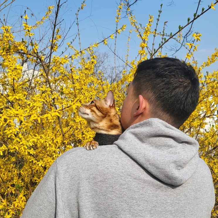  사월의 기록