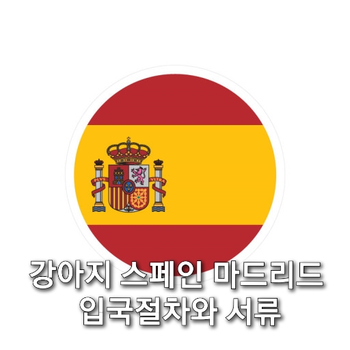  강아지 스페인 마드리드 입국절차와 서류