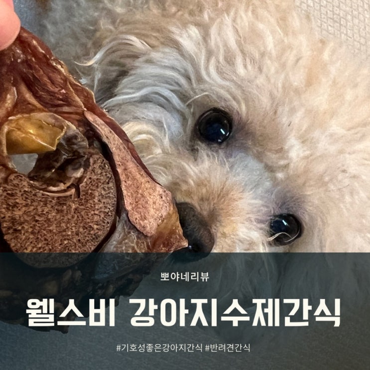  반려견수제간식 기호성 좋은 웰스비간식 오리야채칩 송아지목뼈