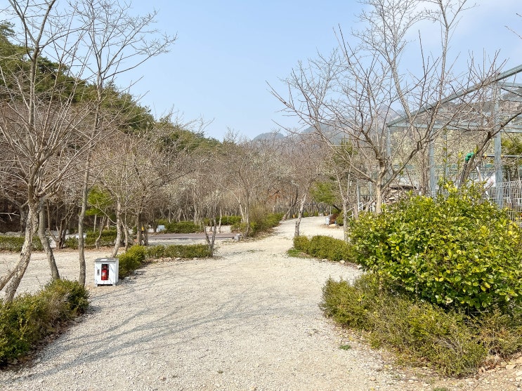  부안캠핑장 :: 바닷가캠핑장 인생샷! '내소힐링캠프'