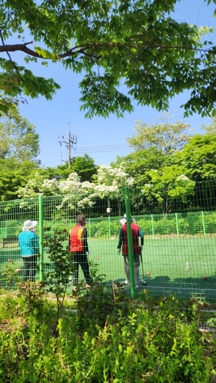 오월의 첫날 아파트 산책