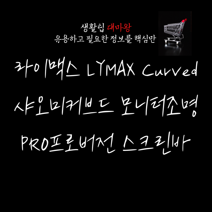 라이맥스 LYMAX Curved 샤오미 커브드 PRO 프로