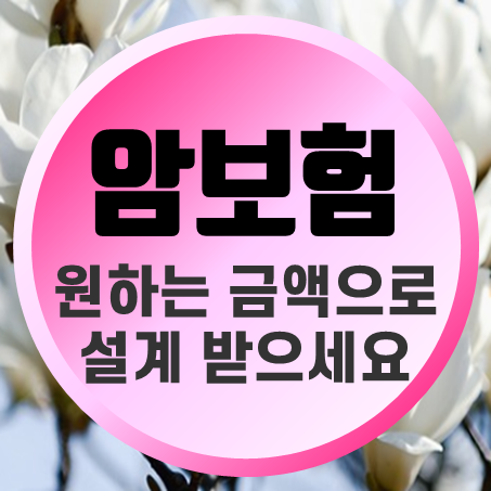  암진단금1억 가입 금액 무갱신암보험 비용과 보장을 비교할 수 있어요.