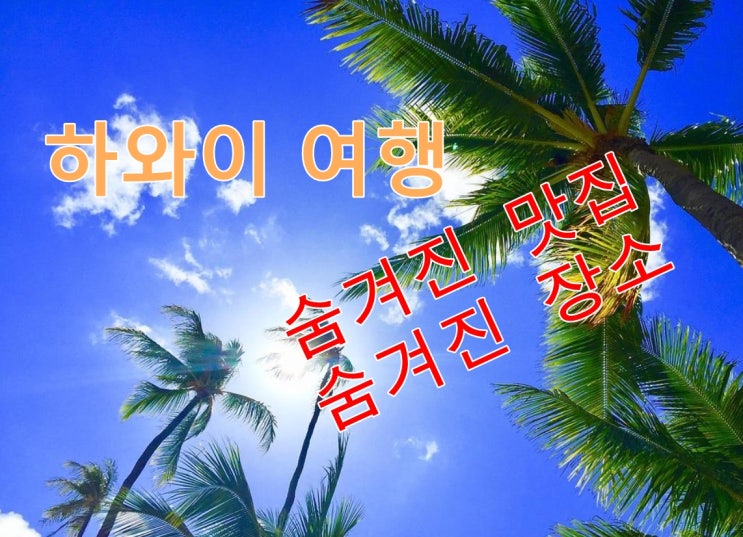  혼자 떠나는 외롭지 않은 하와이 여행 코스 & 숨겨진 맛집과 장소