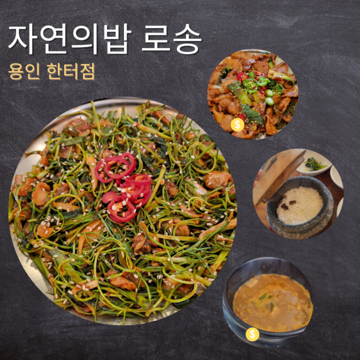  양지 한식 맛집 추천 | 자연의밥 로송 한터점 | 한터맛집