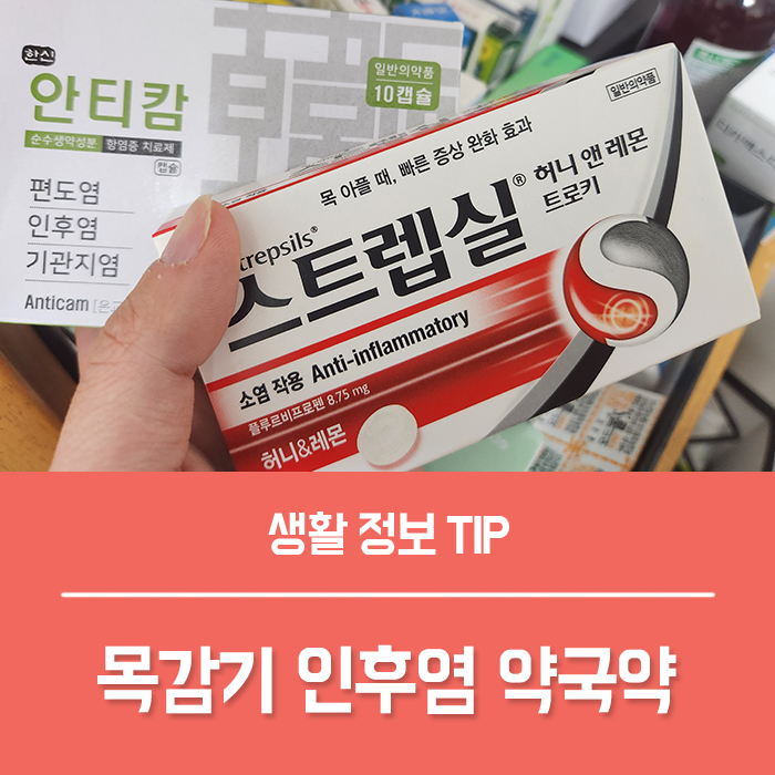  급성 만성 인후염 증상, 목감기 약국 약 스트랩실 안티캄 은교산 목구멍 통증 모가프텐 스트렙실 효과 부작용 총정리!