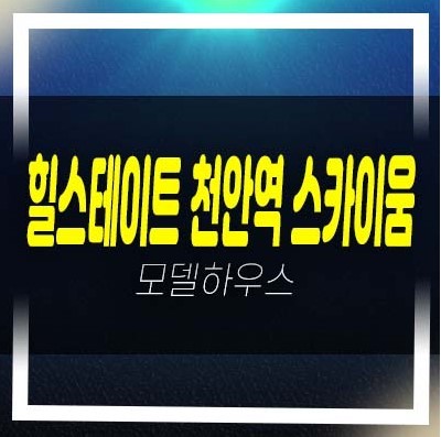  힐스테이트 천안역 스카이움 성정동 미분양아파트 줍줍 분양가 투자자,실거주 주담대 생애최초,무주택자,신축공사 신혼부부,4인가구 분양홍보관 예약!
