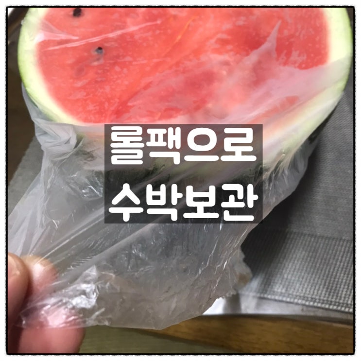  롤팩으로 수박반통 보관하기 롯데롤팩 대형 사용후기