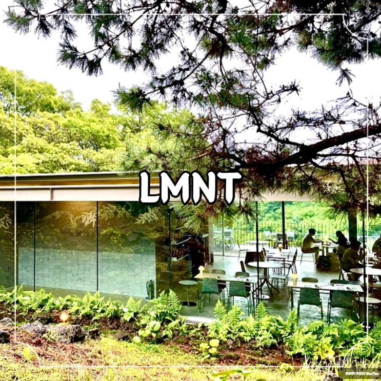  서귀포 중문관광단지 비밀스러운 숲속 다이닝 와인바 레스토랑 제주 LMNT 엘엠엔티