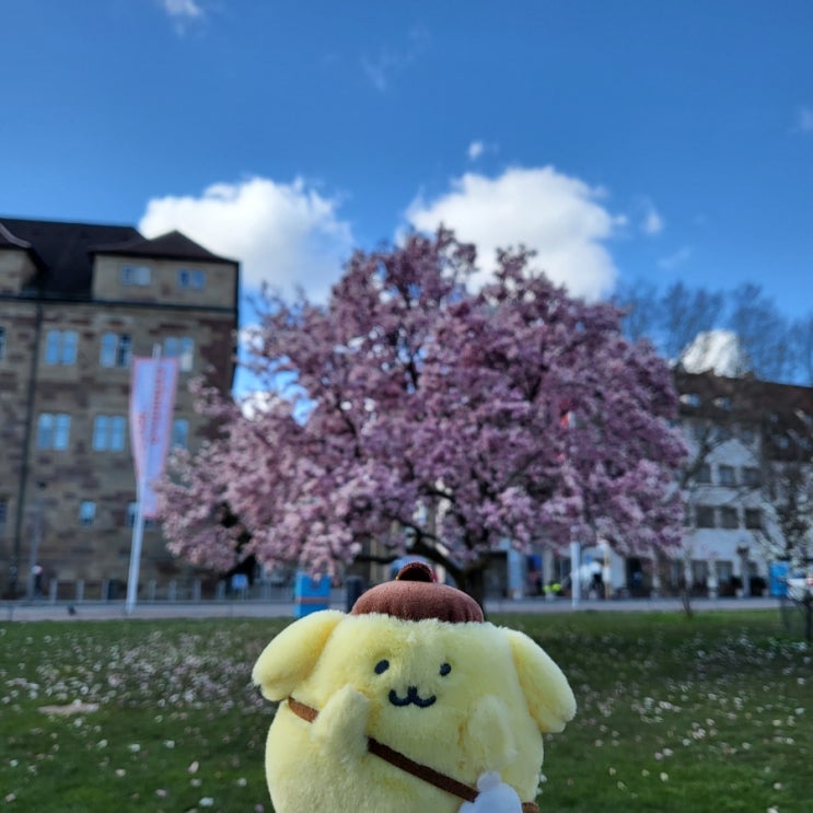  [독일여행#13] 슈투트가르트 시내 관광, 슐로스플라츠와 슈티프트교회 Schloßplatz, Stiftskirche