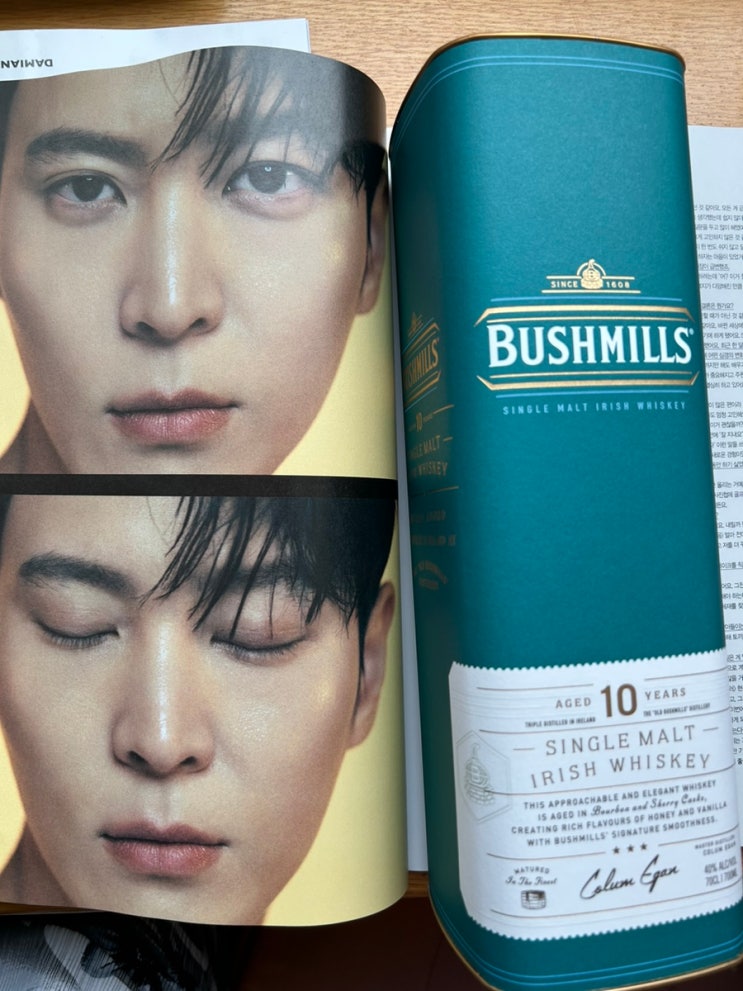  부시밀즈 싱글몰트 아이리쉬 위스키 bushmills single malt Irish whiskey 10년 부쉬밀 몰트