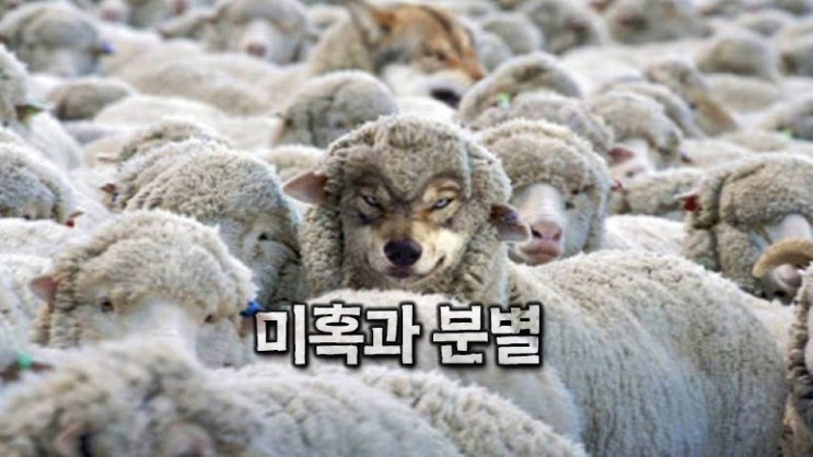  미혹과 분별 - "나는 신이다..." 거짓 메시아, 거짓 선지자들 분별하기