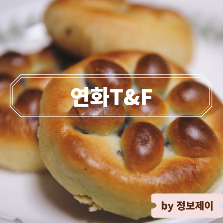  [속초 베이커리 카페] 속초 먹거리 연꿀빵 맛집 연화T&F