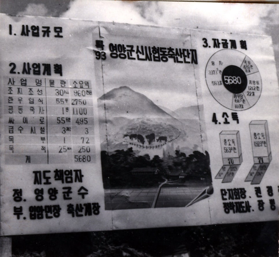 새골 사진 1