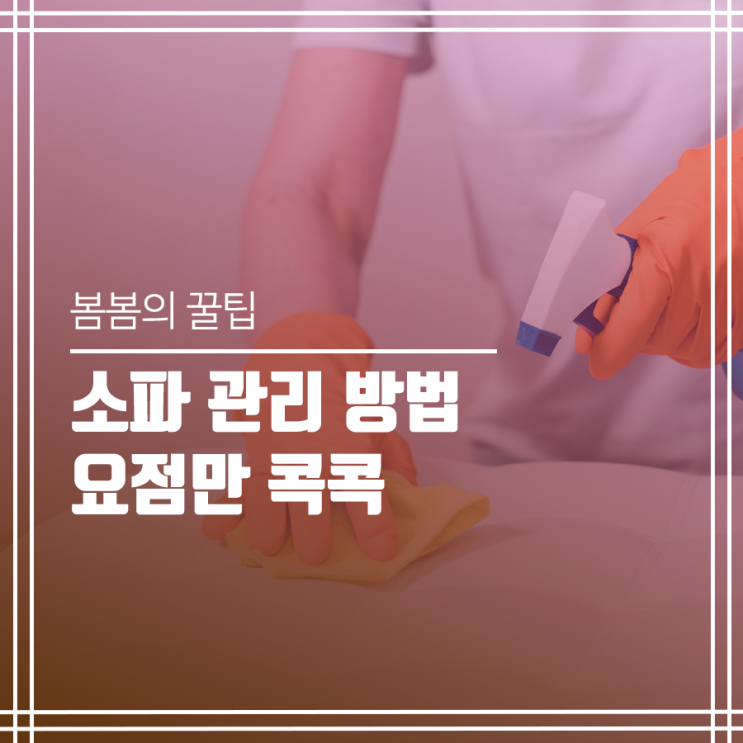  소파 관리 꿀팁! 요점만 쏙~