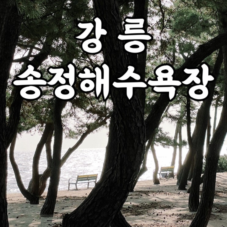  강릉여행 송정해수욕장 강릉뚜벅이여행 추천 강릉데이트코스