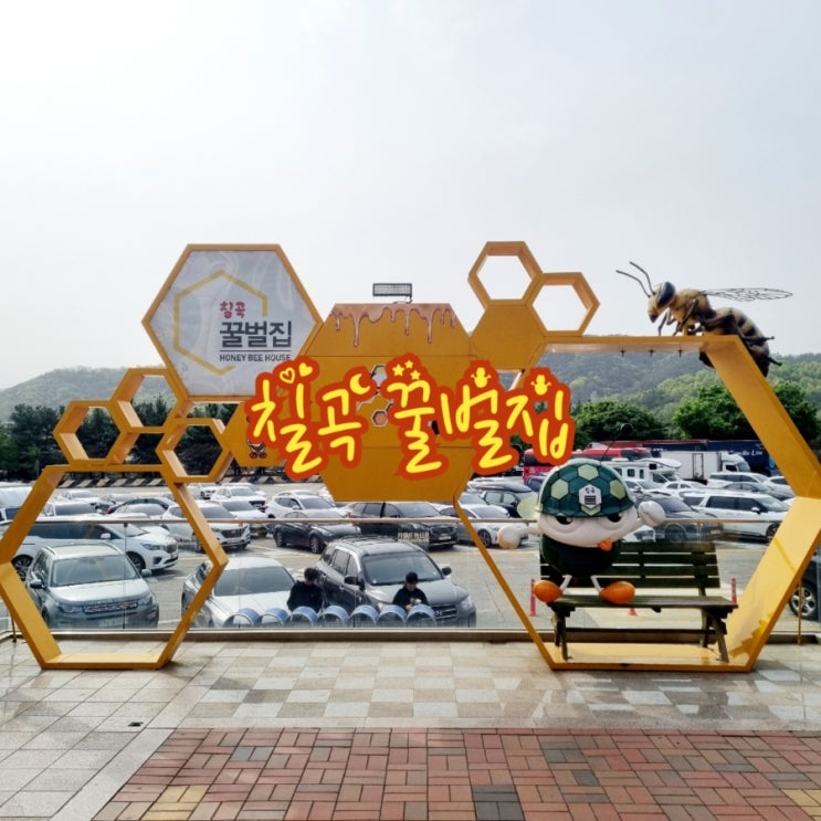  칠곡가볼만한곳 칠곡 꿀벌집 feat 칠곡휴게소