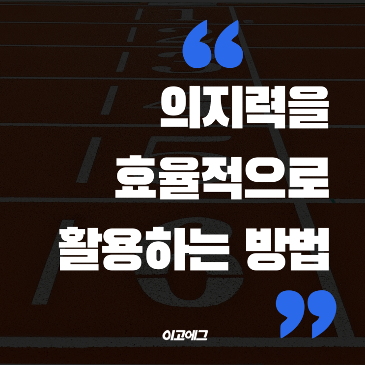  EGOEGG 이고에그 | 의지력을 효율적으로 활용하는 방법