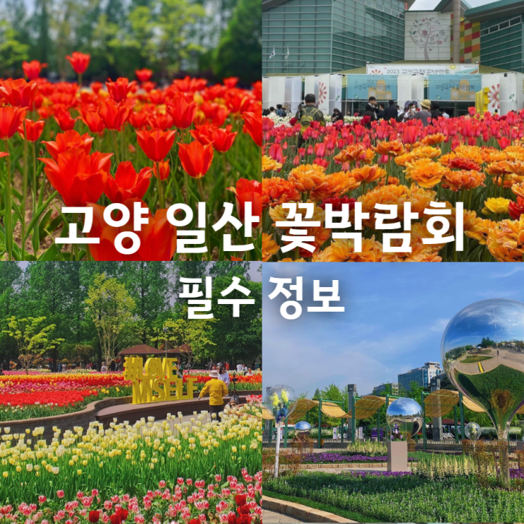  고양 일산 꽃박람회 예매 주차 입장료 강아지