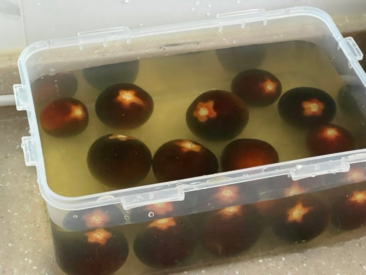  충격적인 토마토 농약 세척 후기 [자연그램 칼슘파우더 과일 채소 세정제] 내돈내산!