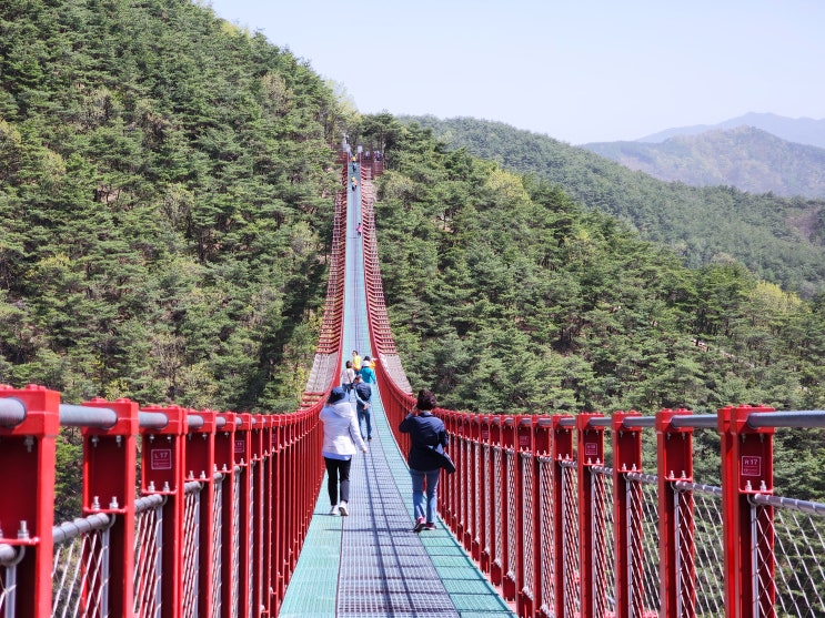전라도 여행 순창 채계산 출렁다리 - 발효소스토굴 관람 / 담양 대통밥 점심 식사 - 죽녹원 산림욕 전라도 여행 순창 채계산 출렁다리 - 발효소스토굴 관람 / 담양 대통밥 점심 식사 - 죽녹원 산림욕