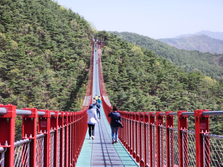 전라도 여행 순창 채계산 출렁다리 - 발효소스토굴 관람 / 담양 대통밥 점심 식사 - 죽녹원 산림욕