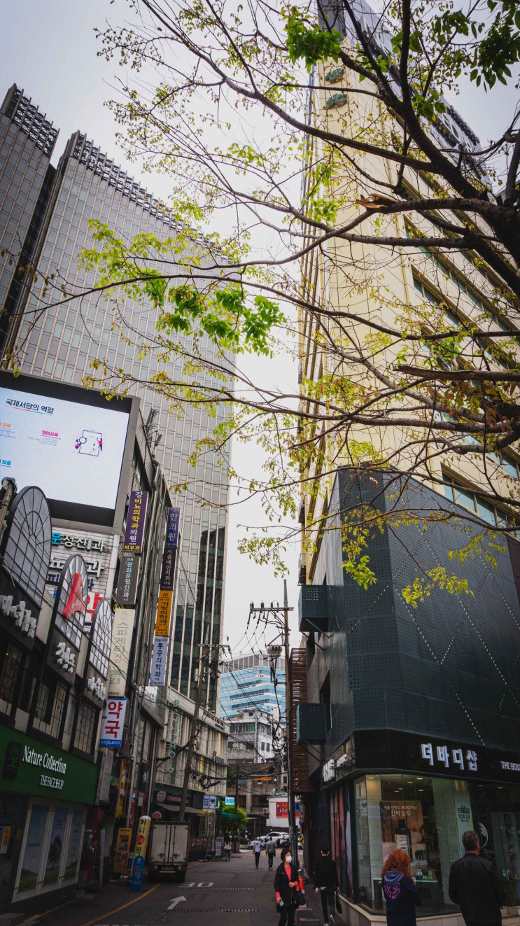  종로구 당주동