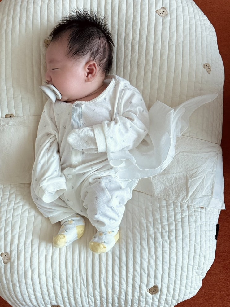  아빠의 육아일기 1 _ 세상에 나온 아기를 조리원에 데려온 그 후 부터 50일까지..