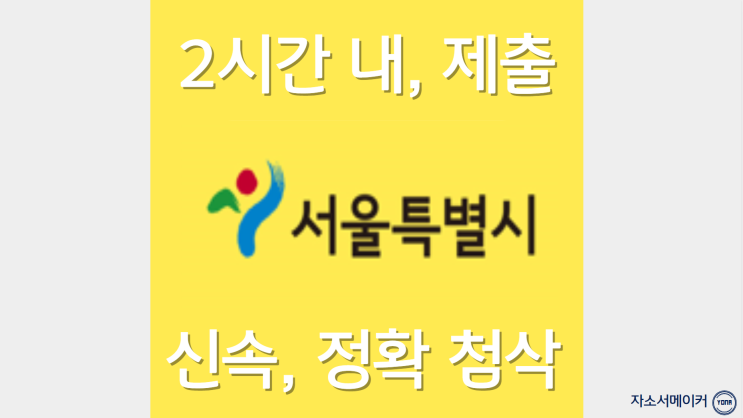  2023년 서울형 청년인턴 자기소개서 문항 분석, 자소서 대필첨삭 잘하는 곳