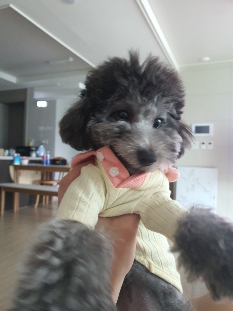  호두한테 질수 없지!