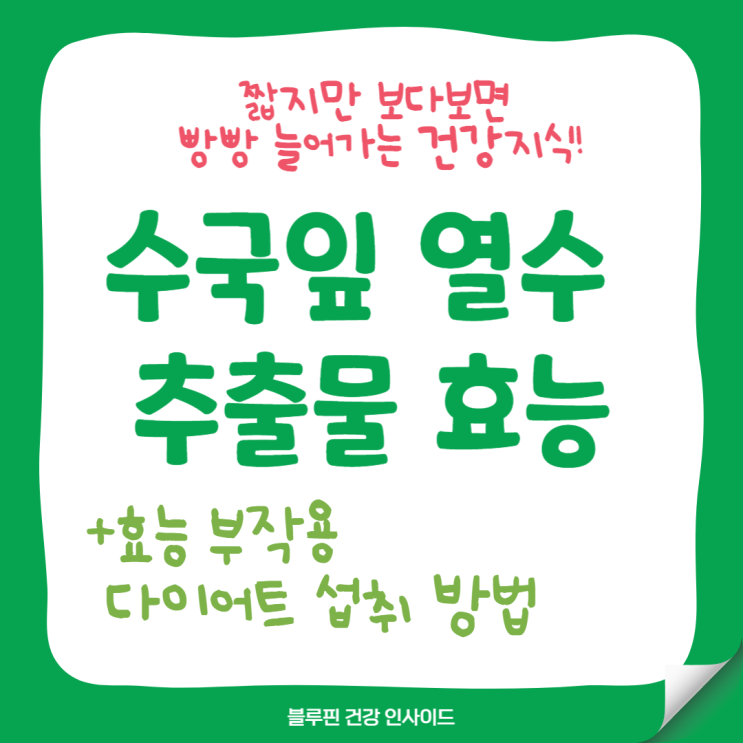  수국잎 열수 추출물 효능 부작용 다이어트 섭취 방법