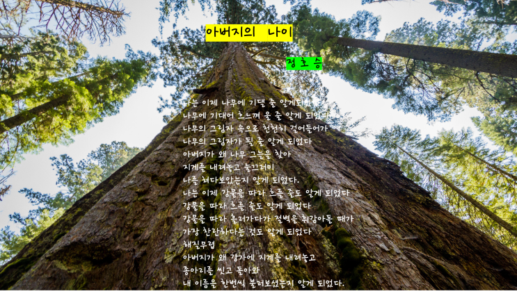 오늘의 시 한모금_정 호승시인의 '아버지의 나이' _환기타임즈 다올시스템 오늘의 시 한모금_정 호승시인의 '아버지의 나이' _환기타임즈 다올시스템