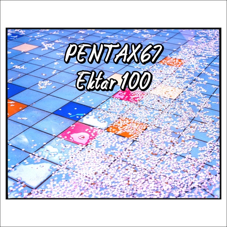  사랑하지 않을 수 없는 코닥 엑타100 Ektar100 중형필름 그리고 펜탁스67