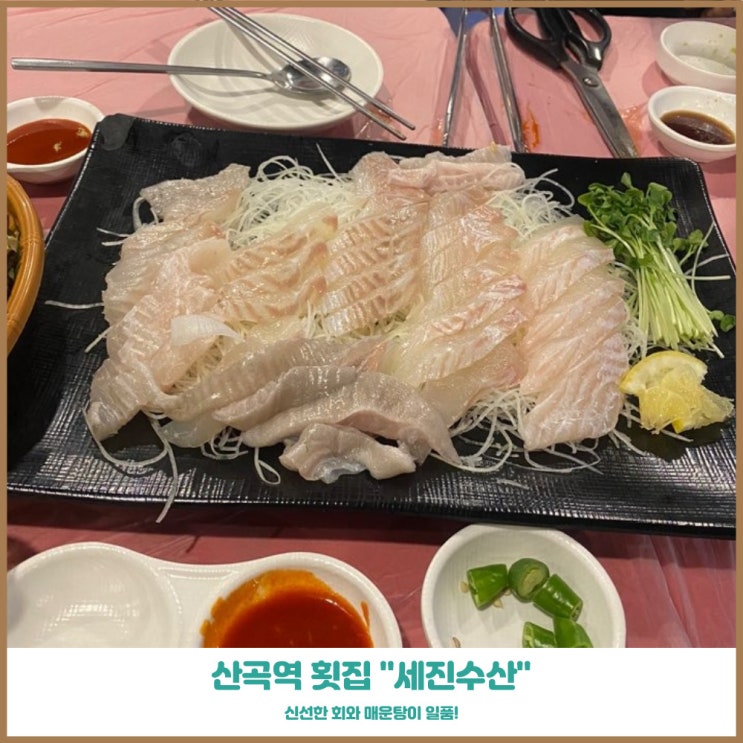  산곡역횟집 세진이네 회포차 신선한 회와 매운탕 추천 포장가능
