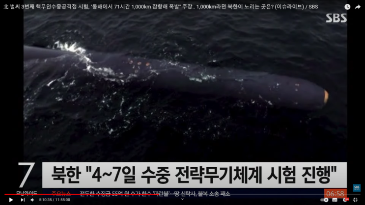  인종동맹 대 비동맹