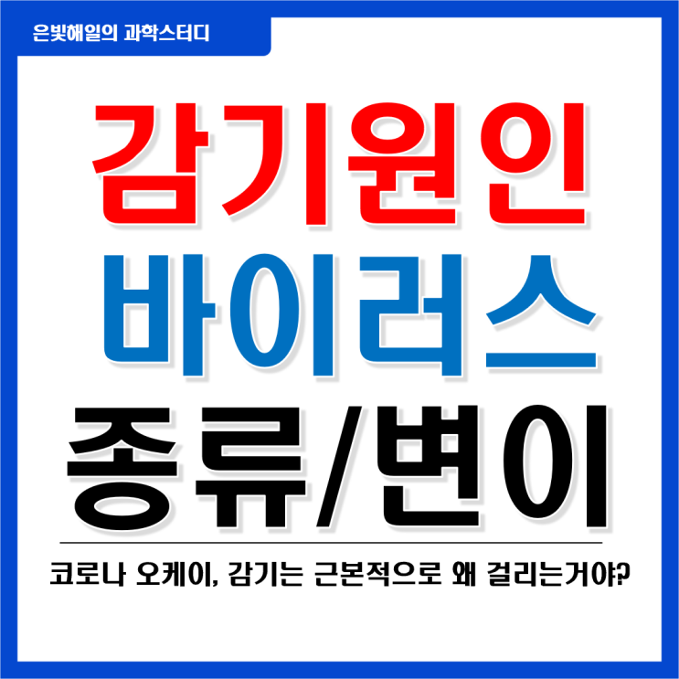  감기의 원인과 바이러스 종류