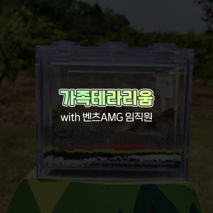  임직원가족행사 에버랜드 포레스트캠프 가족테라리움 with 벤츠AMG