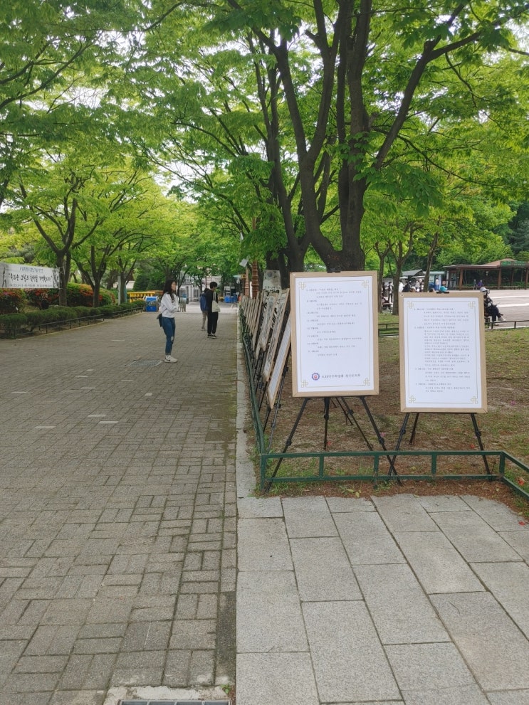  419탑으로 화창한 봄날 나들이 다녀왔지요~