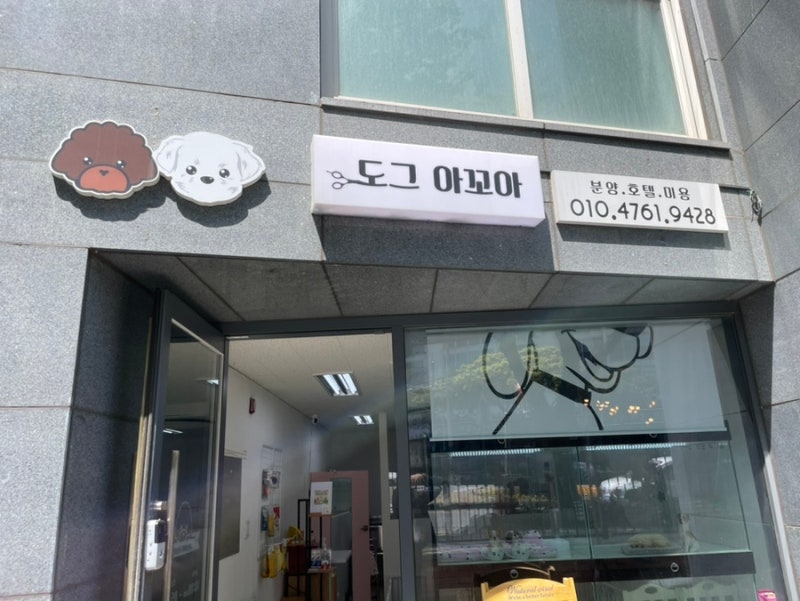 도그 아꼬아