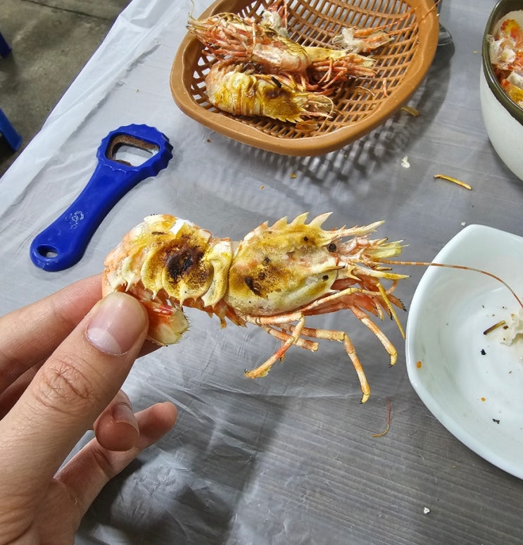  속초 맛집 / 아지트