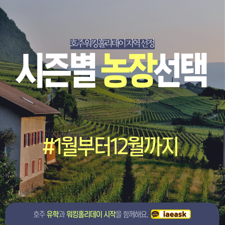  호주 워킹홀리데이 농장 시즌별 작물과 추천 지역을 알아볼까요? (유학네트 멜버른)