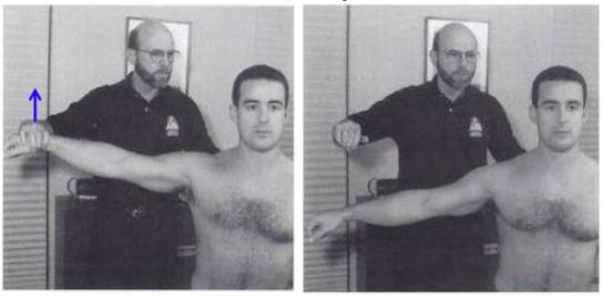  어깨 통증의 주요 원인 회전근개(Rotator cuff) 문제를 확인하는 방법![방배PT]