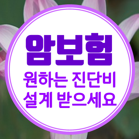  암보험설계 방향 100세 비갱신형 암보험 1억 진단금 금액 비용 확인해 보세요.